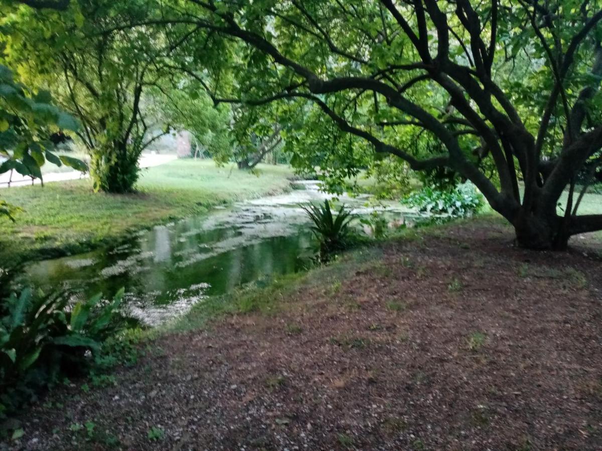 La Bella Ninfa Bed and Breakfast Sermoneta Εξωτερικό φωτογραφία